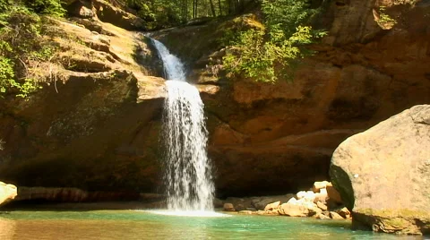 Forest waterfall Video stock 931342