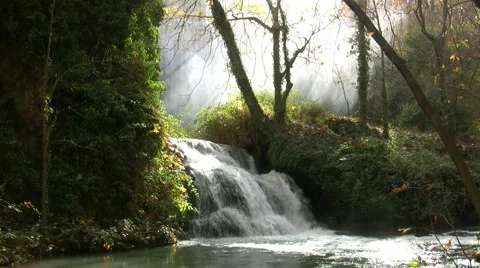 Forest waterfall Stock Footage