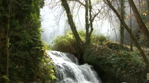 Forest waterfall Stock Footage 937672
