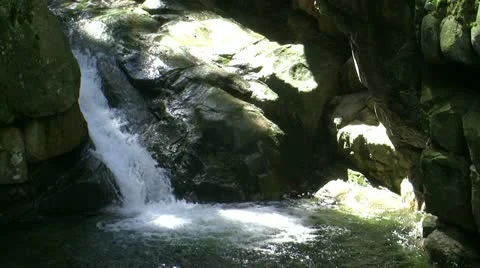 Forest waterfall Stock Footage 22256700