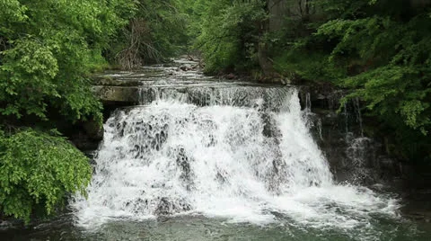 Forest waterfall Stock Footage 25479233
