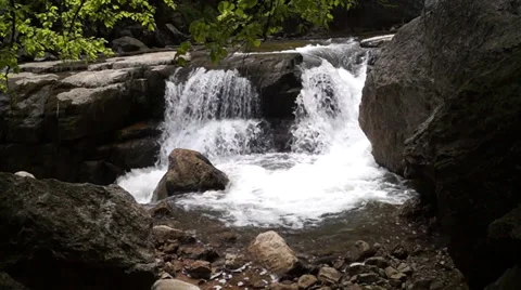 Forest waterfall Stock Footage 37811254