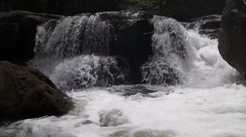 Forest waterfall Stock Footage 37841711