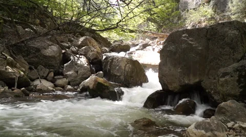 Forest waterfall Stock Footage 37842735