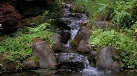 Forest waterfall Stock-Footage 40544468