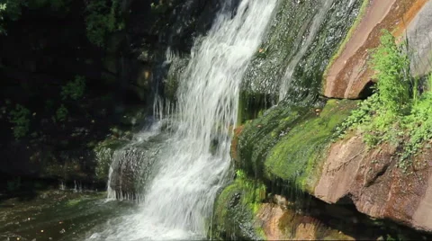 Forest Waterfall Stock Footage 42865997