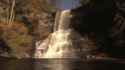 Forest waterfall Stock Footage 74073387