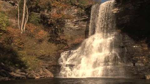 Forest waterfall Stock Footage 74073389