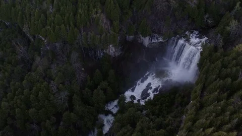 Forest Waterfall  Vídeo Stock 81976967