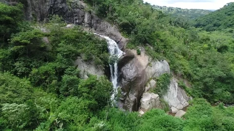 Forest Waterfall Stock Footage 132222601