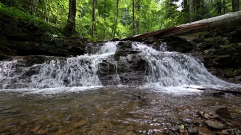 Forest waterfall Stock Footage 150483858