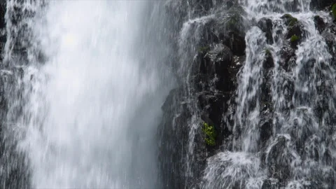 Forest Waterfall Stock Footage 278429119