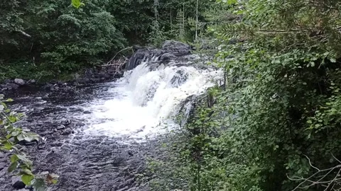 Forest Waterfall Stock Footage 315186766