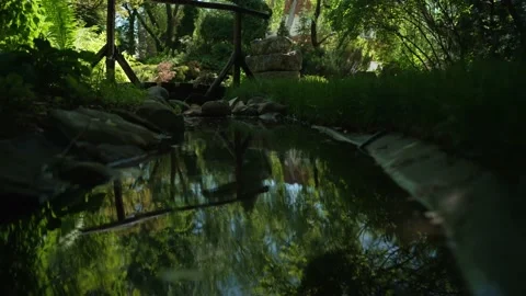 Forest waterfall with green grass 스톡 동영상 199255764