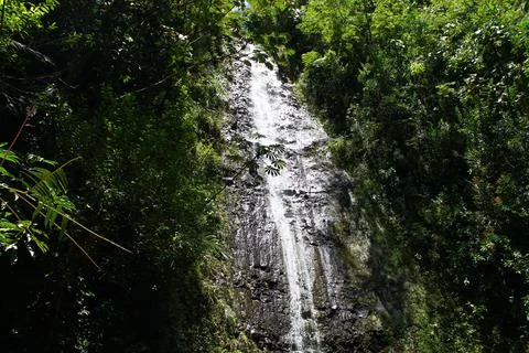 Forest waterfall in Honolulu Foto stock