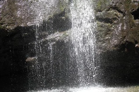 Forest waterfall in Honolulu Stock Photos
