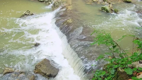 Forest waterfall landscape Video stock 203945856