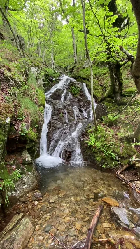 Forest waterfall in Les Cévennes Stock Footage 345360454