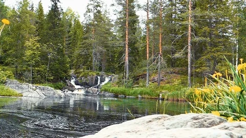 Forest Waterfall Low Angle Dolly Shot Stock Footage 72355357