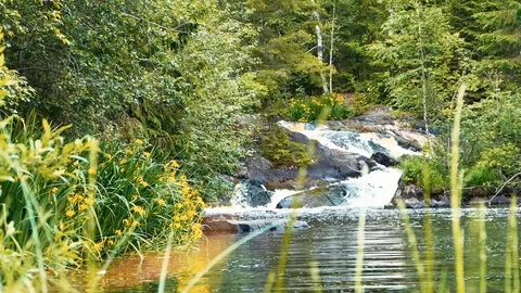 Forest Waterfall Low Angle Dolly Shot Stock Footage 72355464