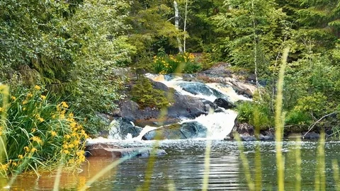 Forest Waterfall Low Angle Dolly Shot Stock Footage 72355715