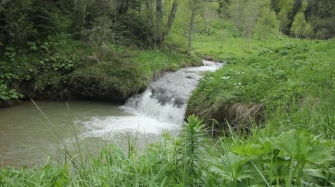 Forest waterfall on mountain river Vídeo Stock 52388752