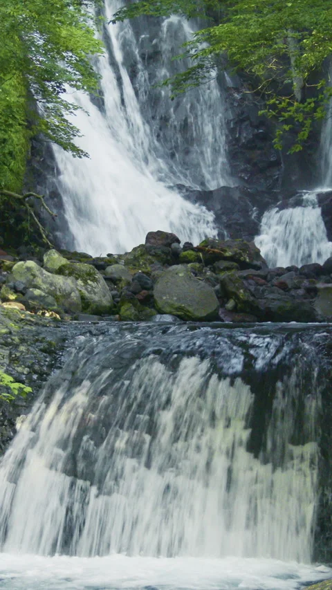 Forest Waterfall Over Boulders in Spring Vertical Video Stockbeeldmateriaal 346193087