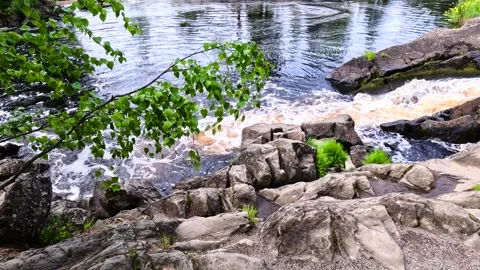 Forest waterfall over mossy rocks. Stock Footage 341791591