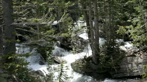 Forest waterfall P HD 0632 Stock-Footage 462388