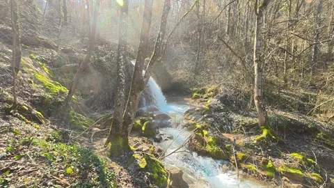 Forest Waterfall Partly Hidden by Tree – Slow Upward and Right Pan Video stock 330632800