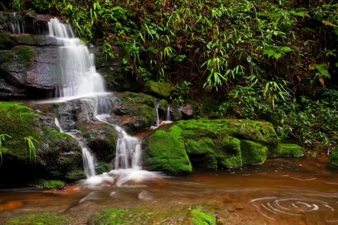 Forest waterfall Stock Photos