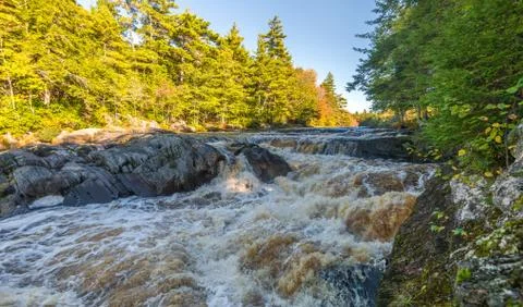 Forest waterfall Stock Photos
