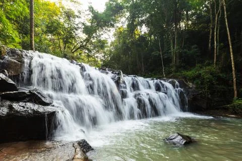 Forest waterfall Stock Photos