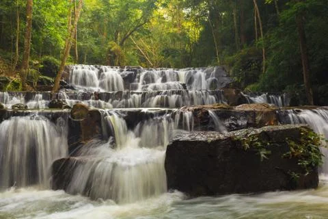 Forest waterfall Foto stock