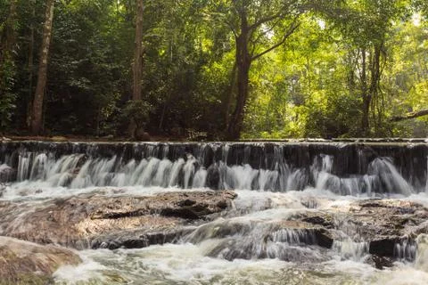 Forest waterfall Foto stock