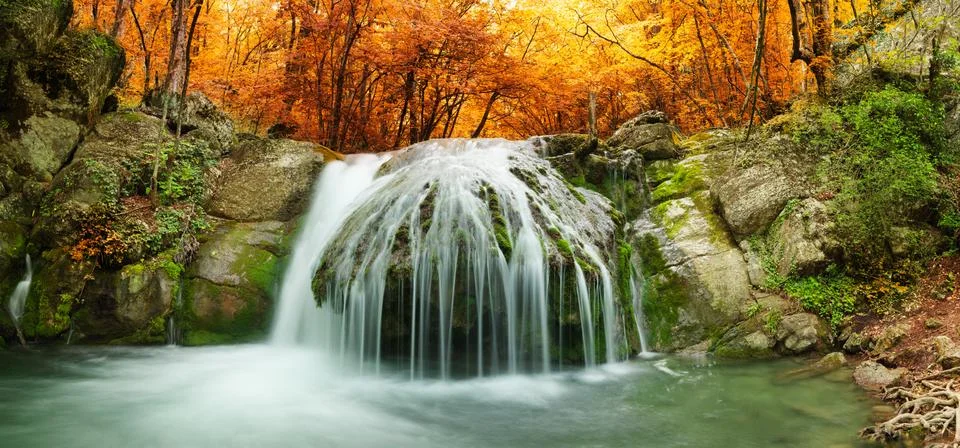 Forest waterfall Stock Photos