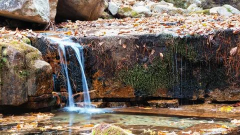Forest waterfall 写真素材