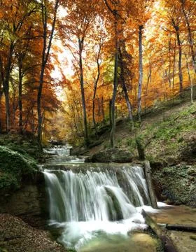 Forest waterfall Stock Photos