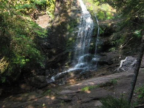 Forest waterfall 스톡 사진