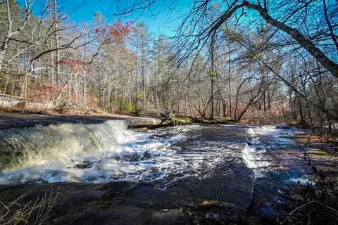 Forest Waterfall Stock Photos