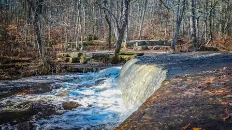 Forest waterfall Stock Photos