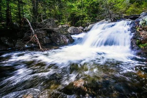 Forest waterfall Stock Photos