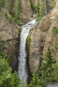Forest Waterfall Foto stock
