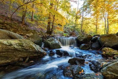 Forest waterfall. Stock Photos
