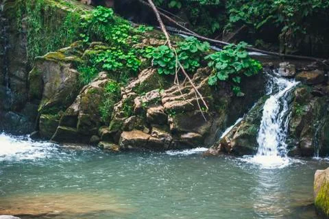 Forest waterfall Stock Photos