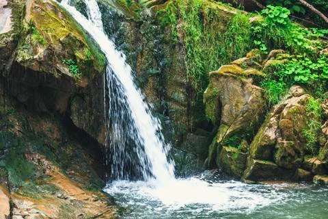 Forest waterfall Stock Photos