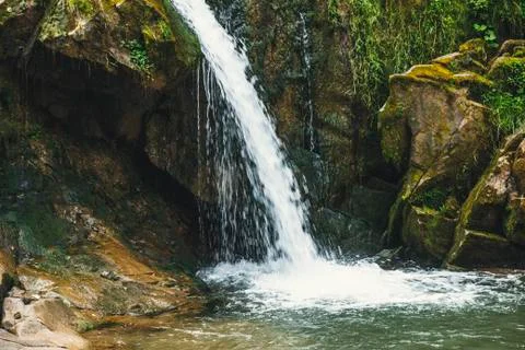 Forest waterfall Stock Photos