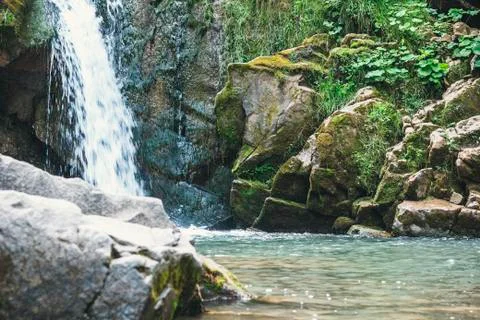 Forest waterfall Stock Photos