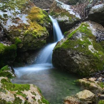 Forest waterfall Stock Photos