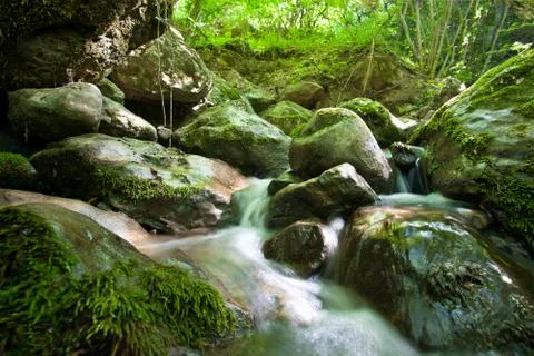 Forest waterfall Stock Photos